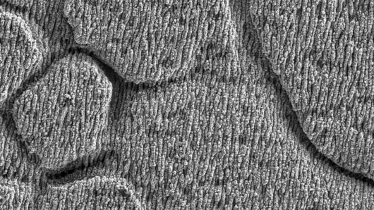 Close-up of the surface structure of blackmarking