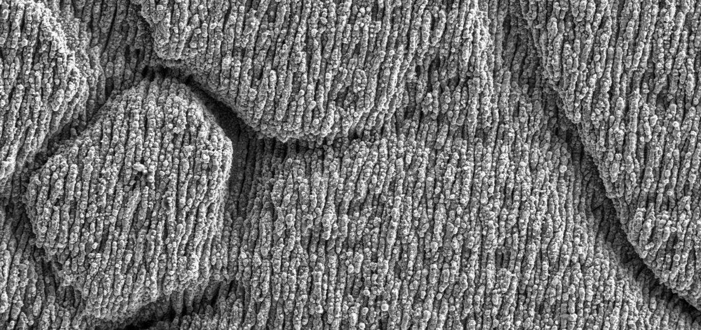 Nahaufnahme Oberflächenstruktur Blackmarking