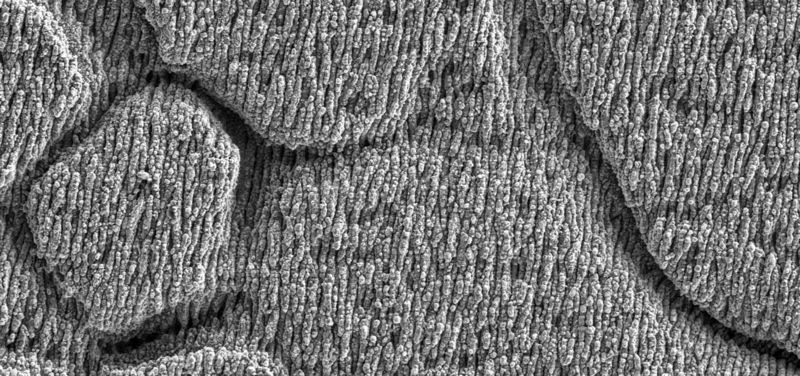 Nahaufnahme Oberflächenstruktur Blackmarking