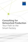 Consulting for networked production flyer